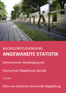 Statistik Bachelor Flyer